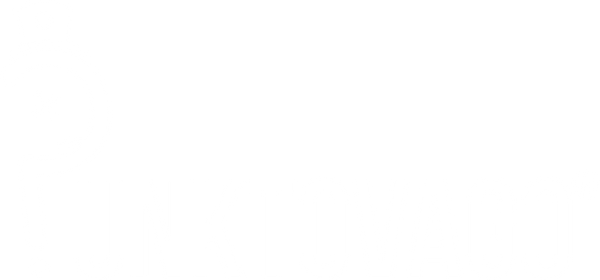 Punktovago Shop 